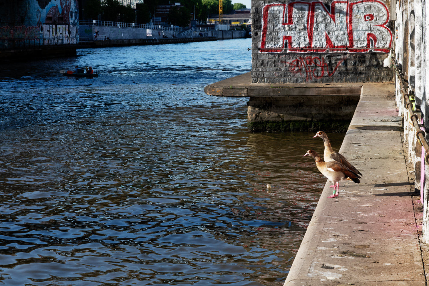 CANAL IT UP & RIVER CLEAN UP © Bram Penninckx