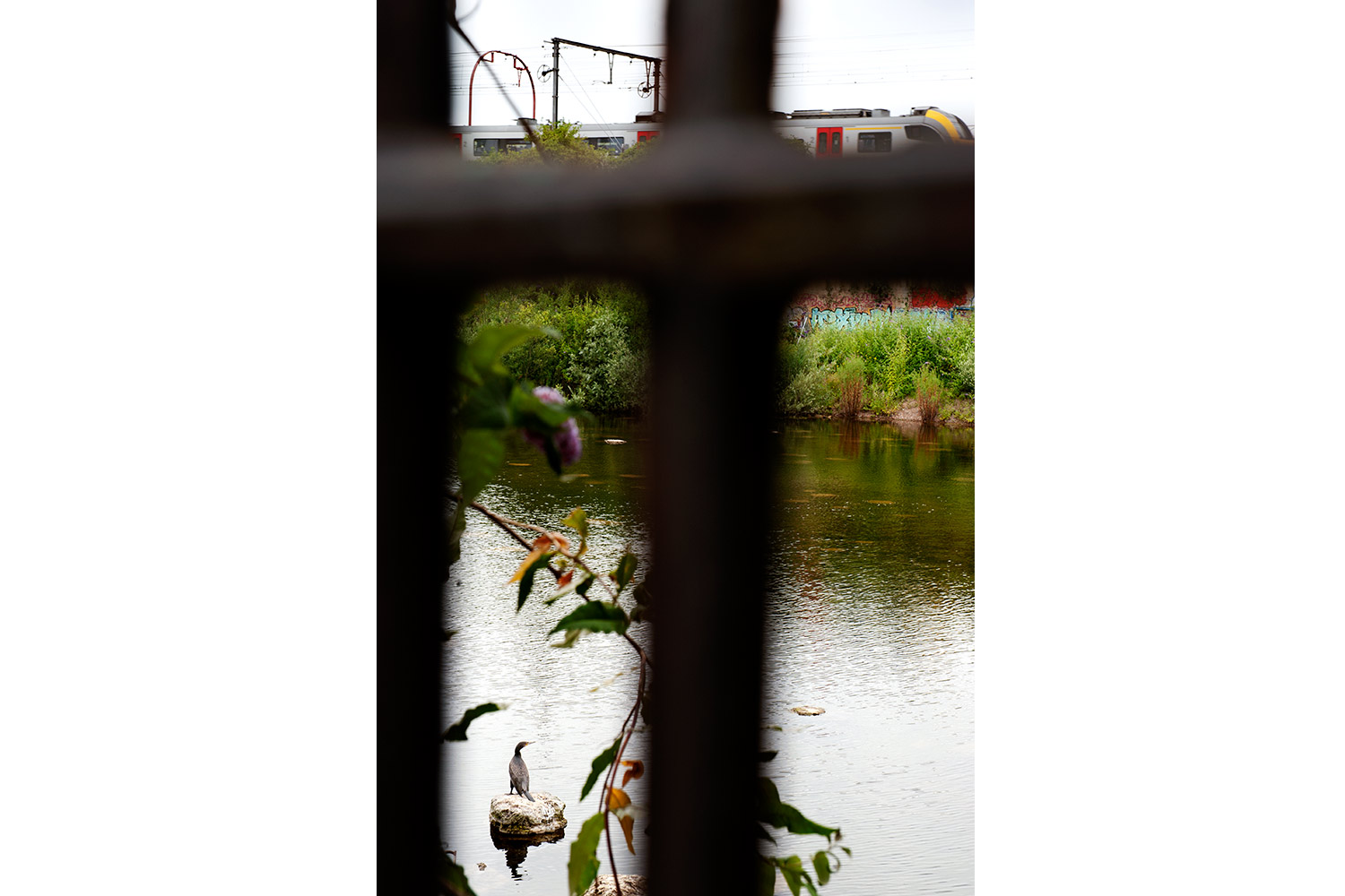 MARAIS WIELS © Bram Penninckx