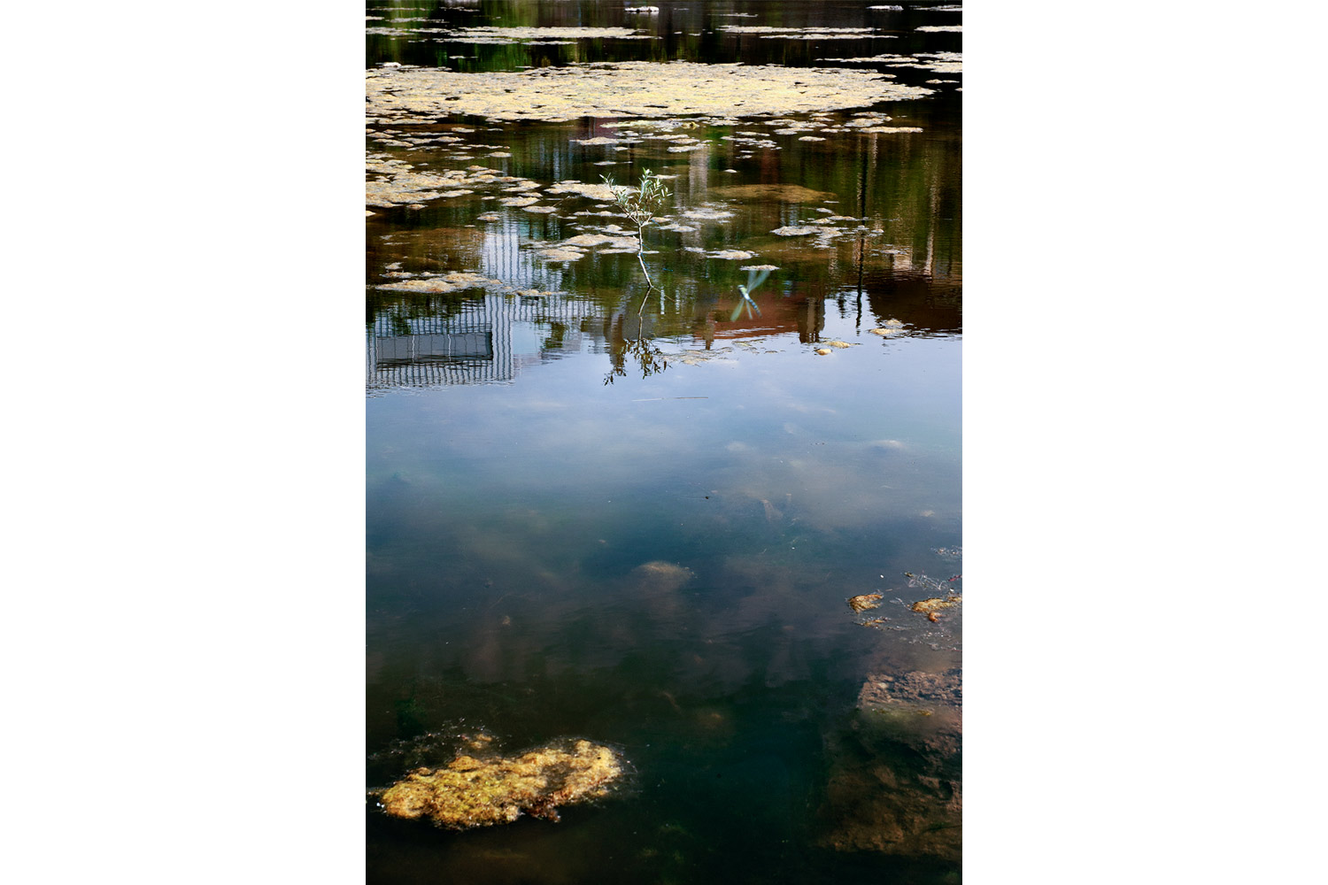 MARAIS WIELS © Bram Penninckx