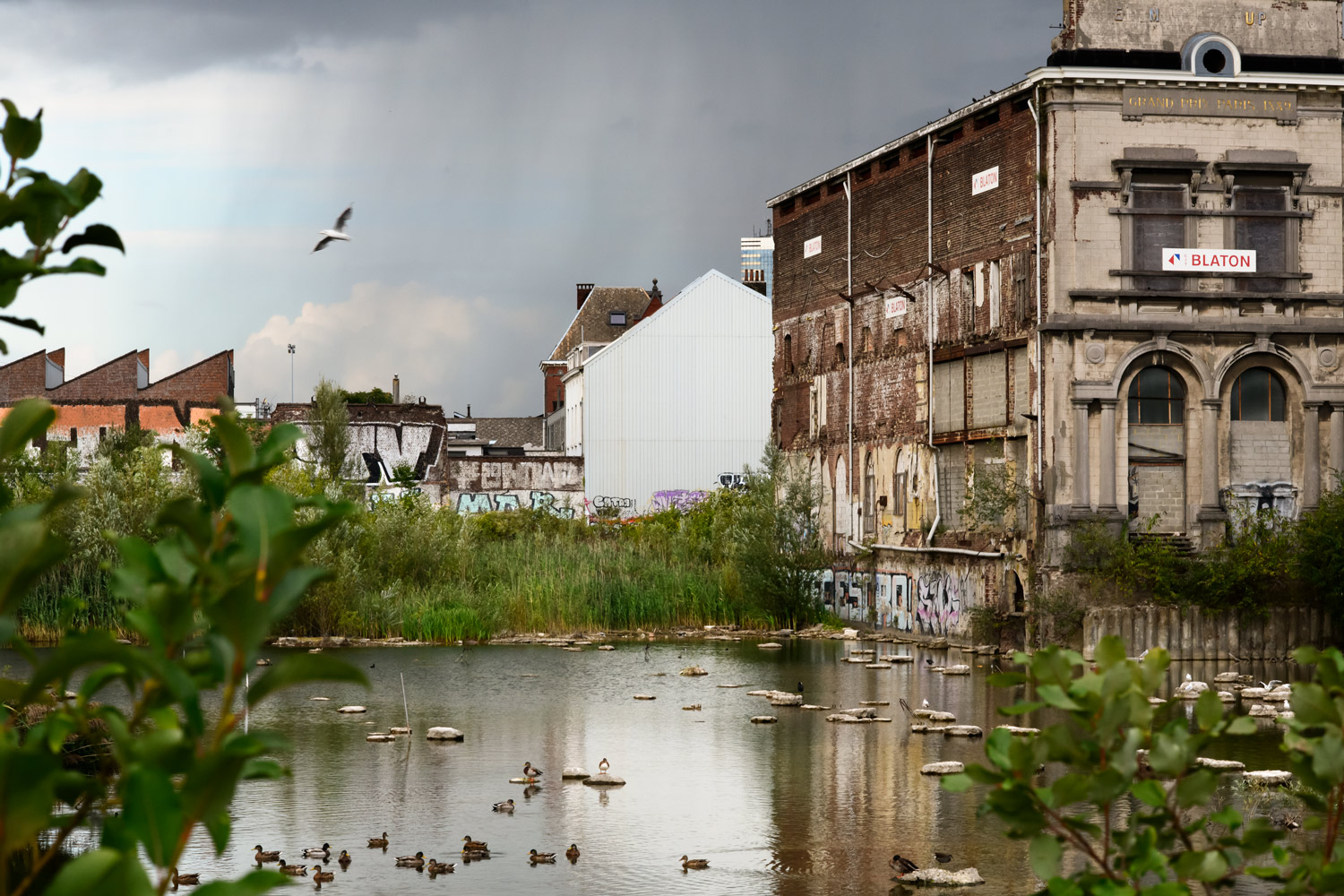 MARAIS WIELS © Bram Penninckx