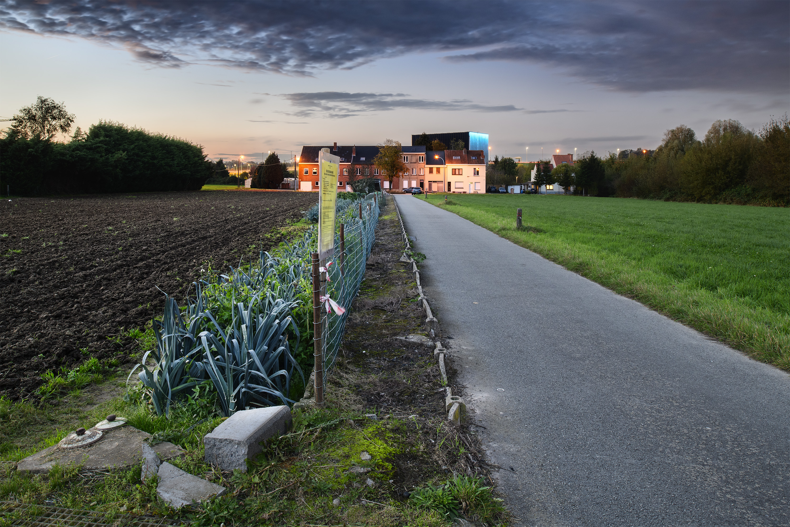 LE RING © Bram Penninckx